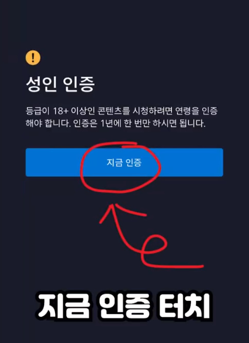 디즈니 플러스 성인인증 (18세 연령제한 해제) 4