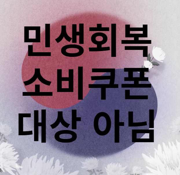 2차 민생회복 소비쿠폰 대상자가 아닙니다